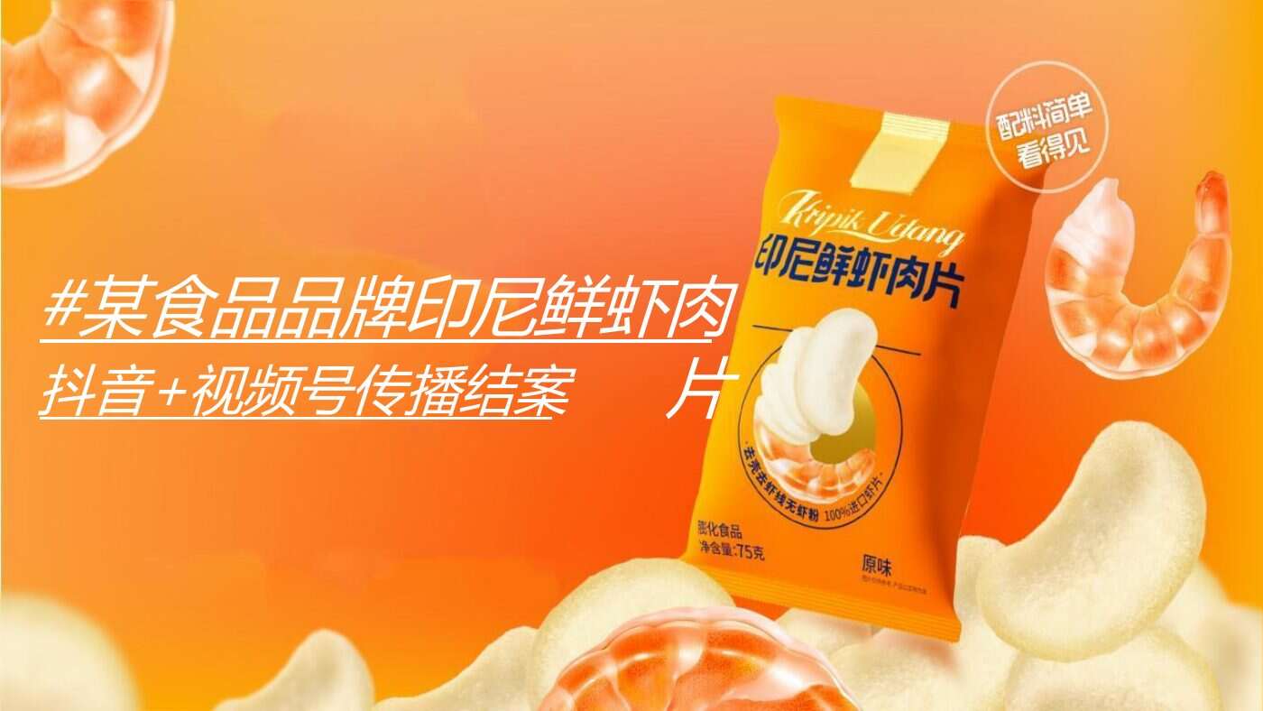 某食品品牌双平台投放结案 案例完整内容