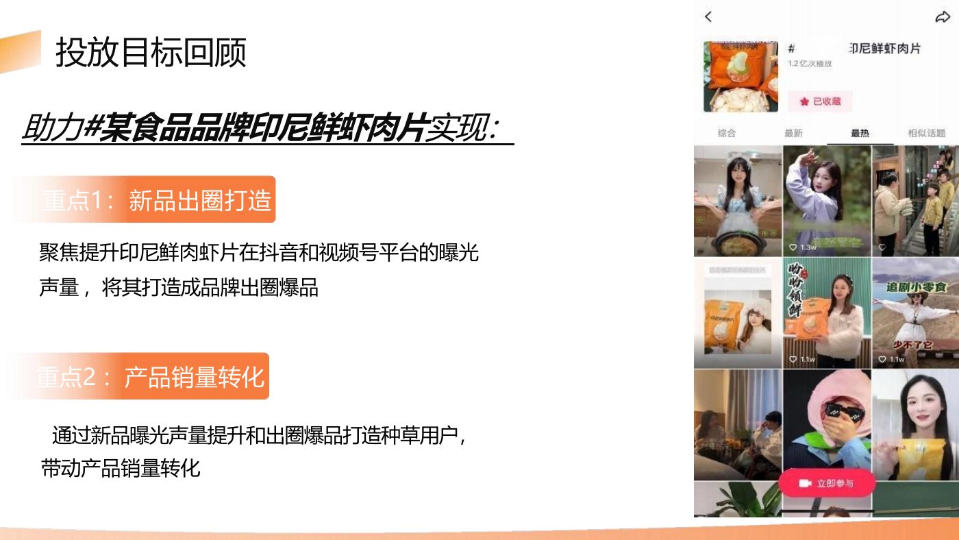 某食品品牌双平台投放结案 案例完整内容
