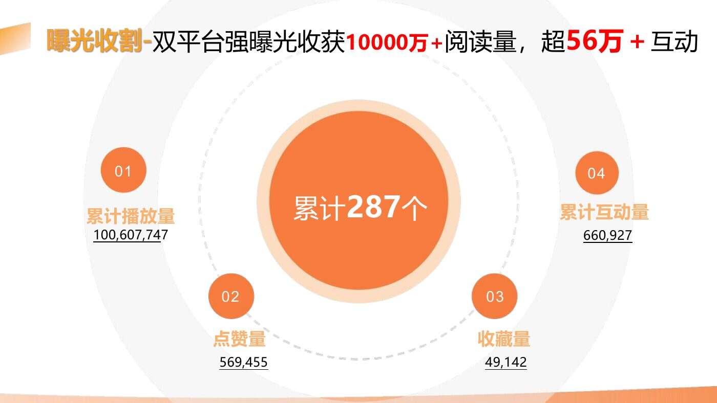某食品品牌双平台投放结案 案例完整内容