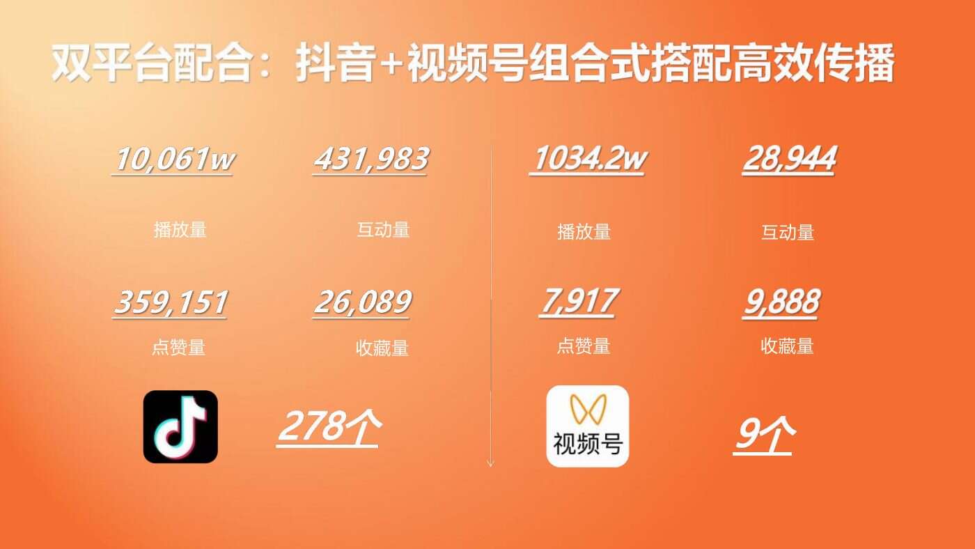 某食品品牌双平台投放结案 案例完整内容