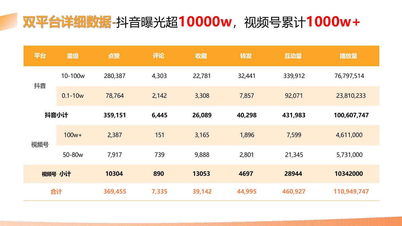 某食品品牌双平台投放结案 案例完整内容