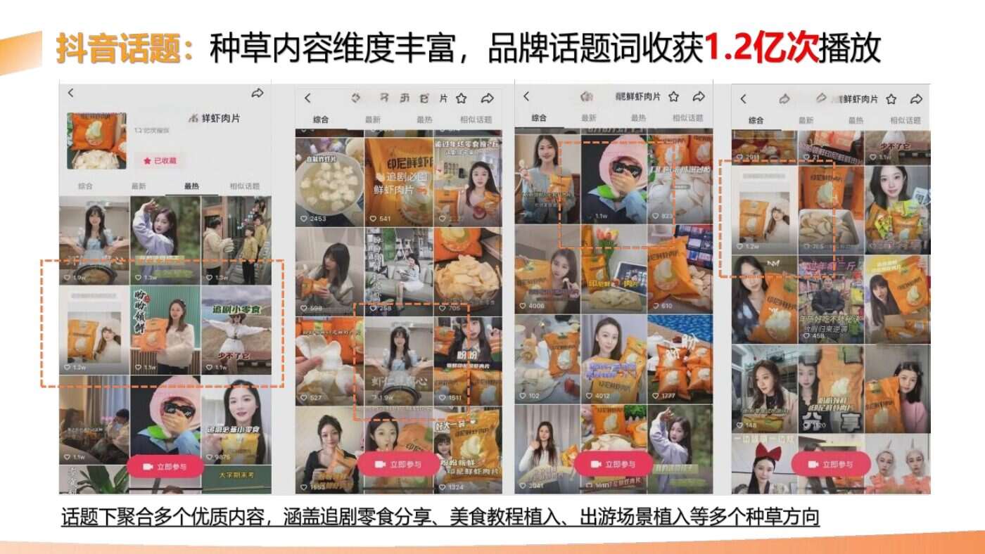 某食品品牌双平台投放结案 案例完整内容