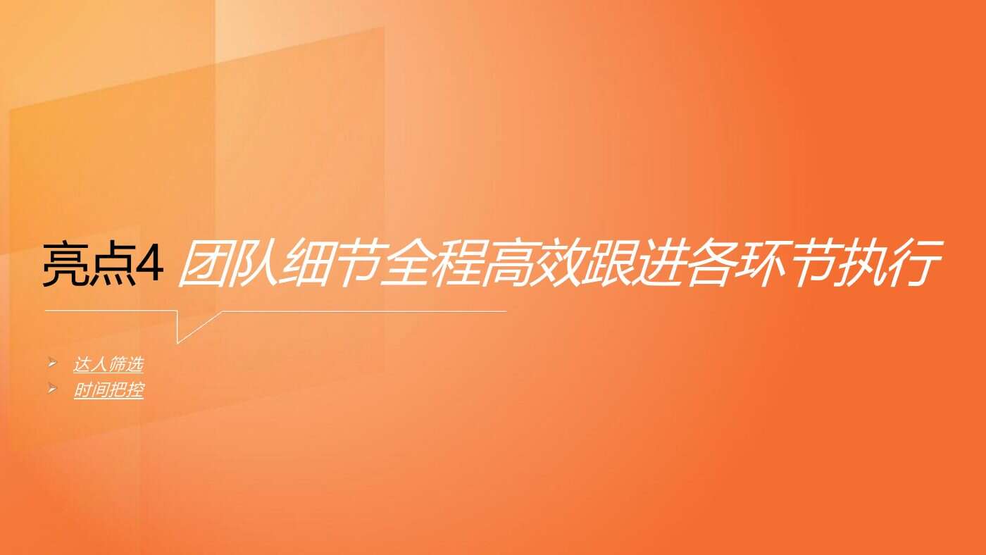 某食品品牌双平台投放结案 案例完整内容