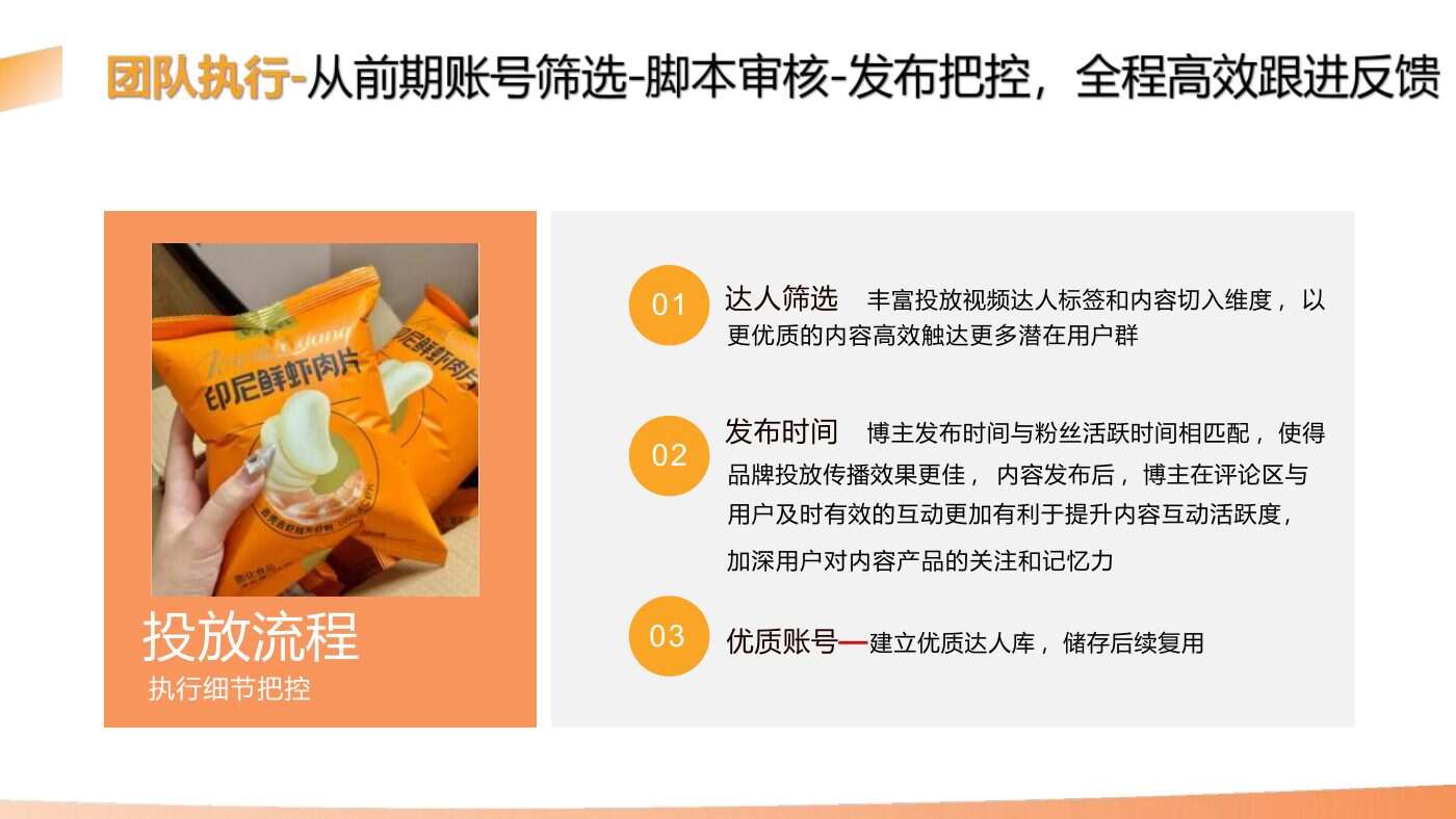 某食品品牌双平台投放结案 案例完整内容