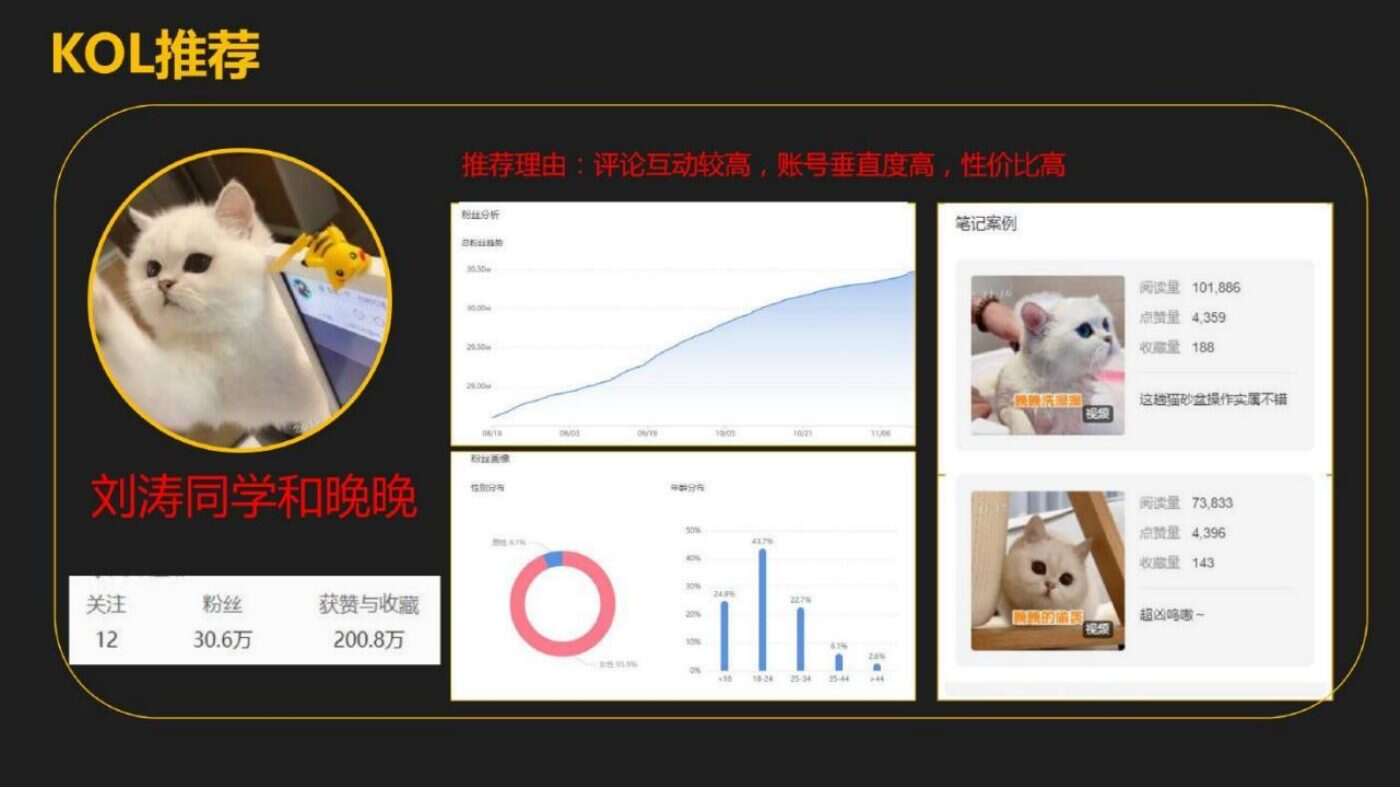 某家居清洁品牌内容营销方案 案例完整内容